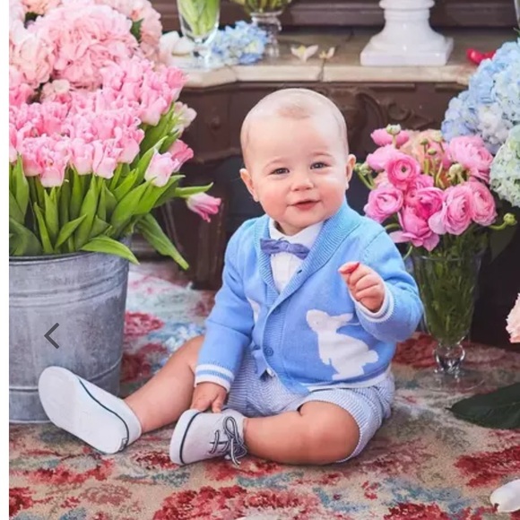 Janie & Jack Boys 12-18 months Baby Bunny Cardigan sweater blue white rabbit - Picture 1 of 9
